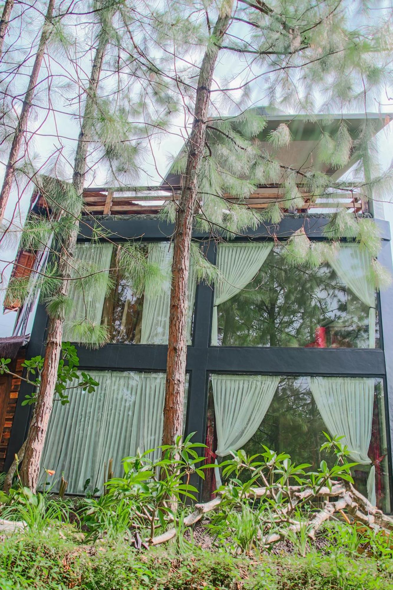 Omah Kayu Bromo Villa Ngadisari Exterior photo