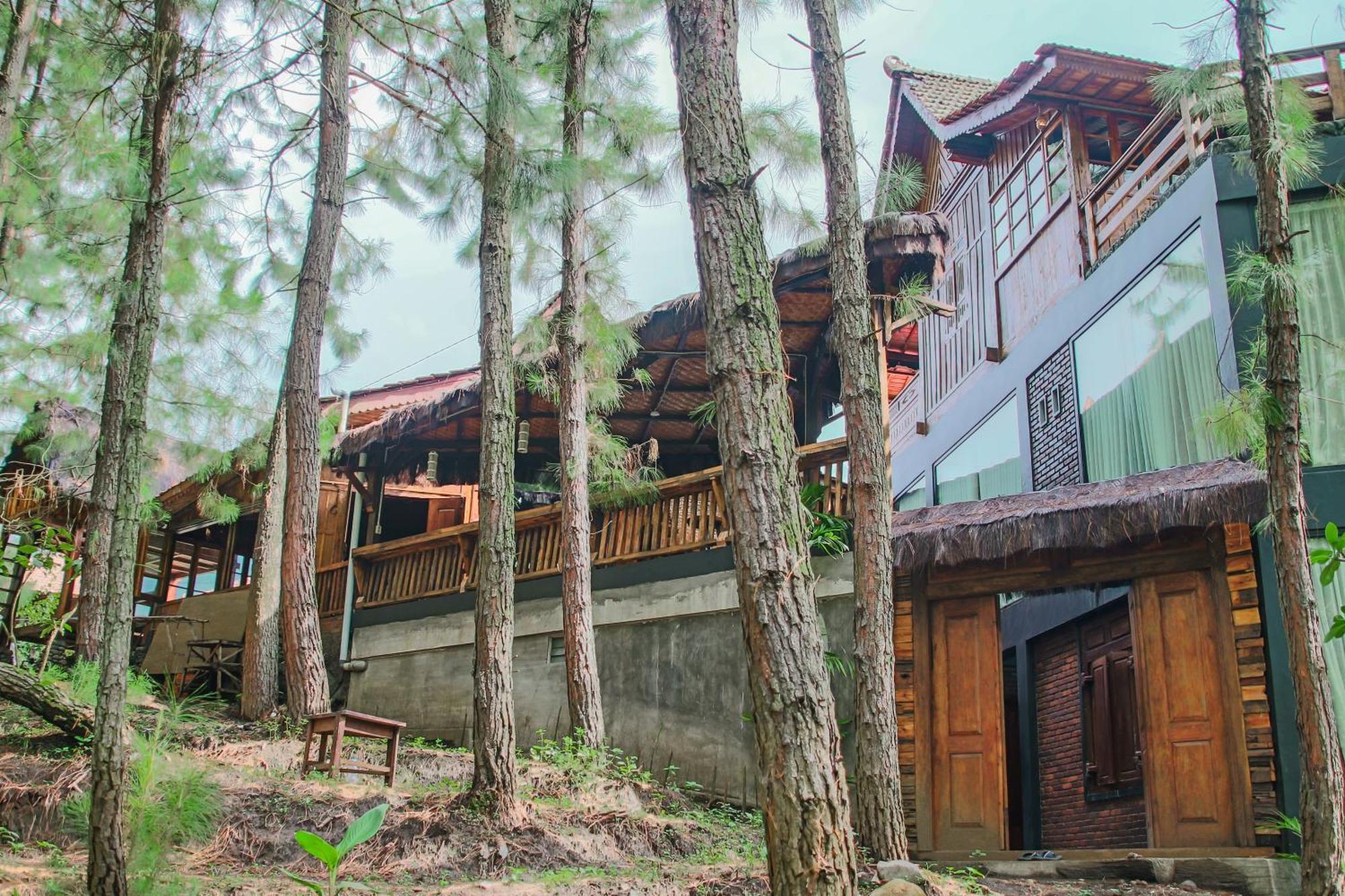 Omah Kayu Bromo Villa Ngadisari Exterior photo