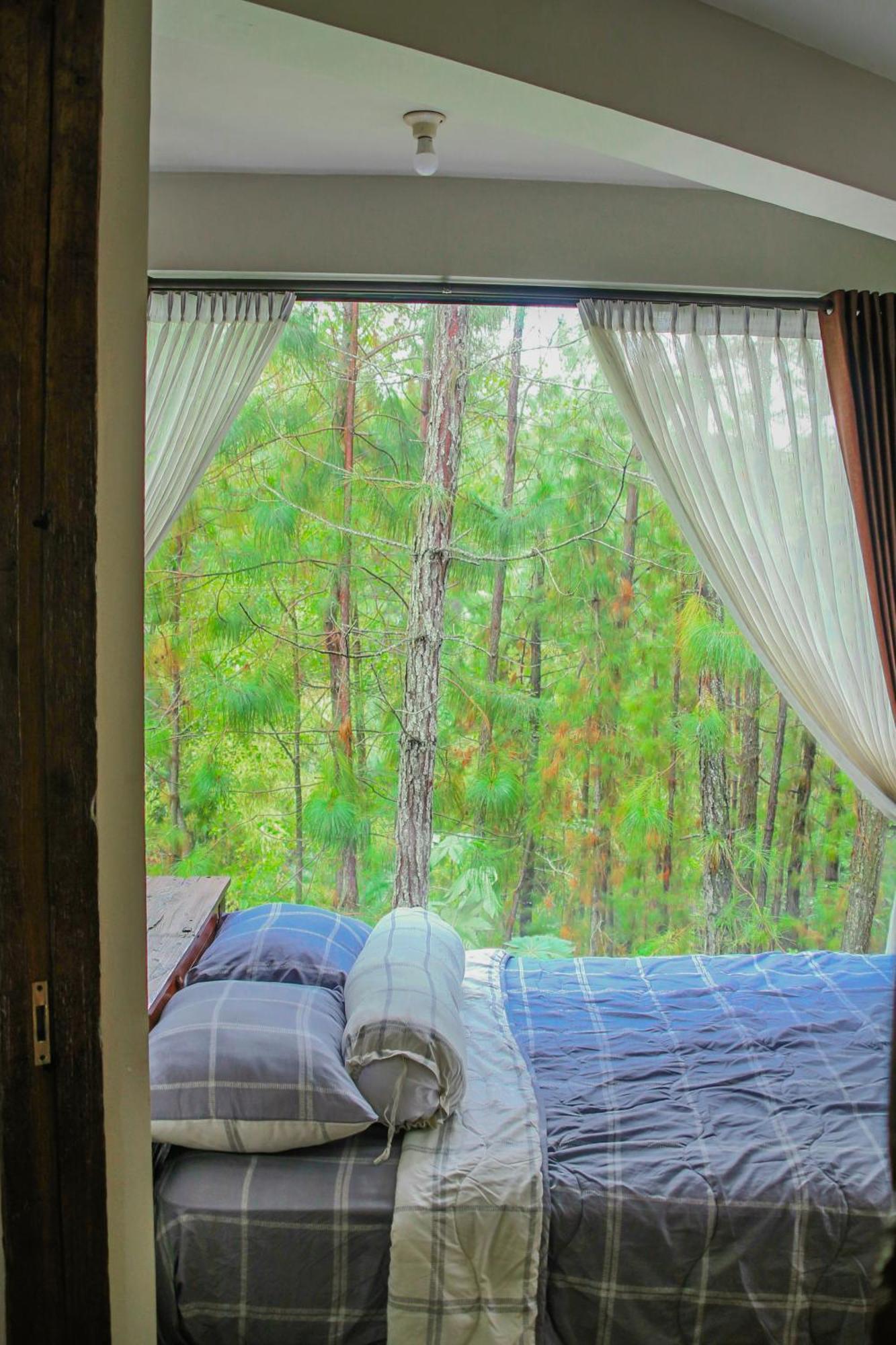 Omah Kayu Bromo Villa Ngadisari Exterior photo